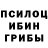 Галлюциногенные грибы Cubensis Daggerborn