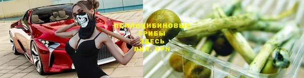 молекула духа Алзамай
