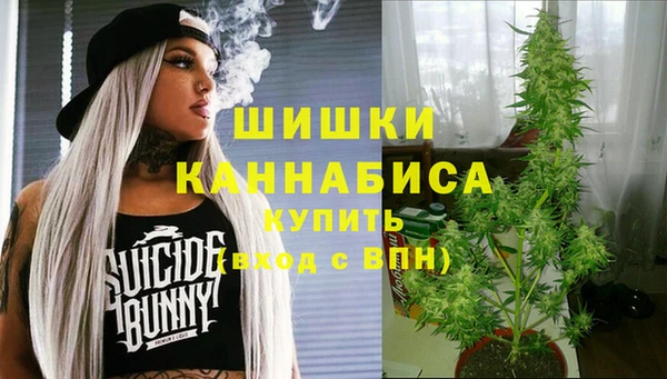 PSILOCYBIN Алексин