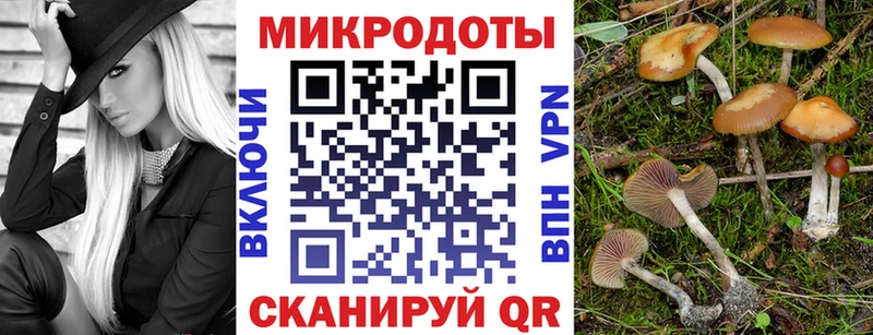 Псилоцибиновые грибы GOLDEN TEACHER  Фрязино 